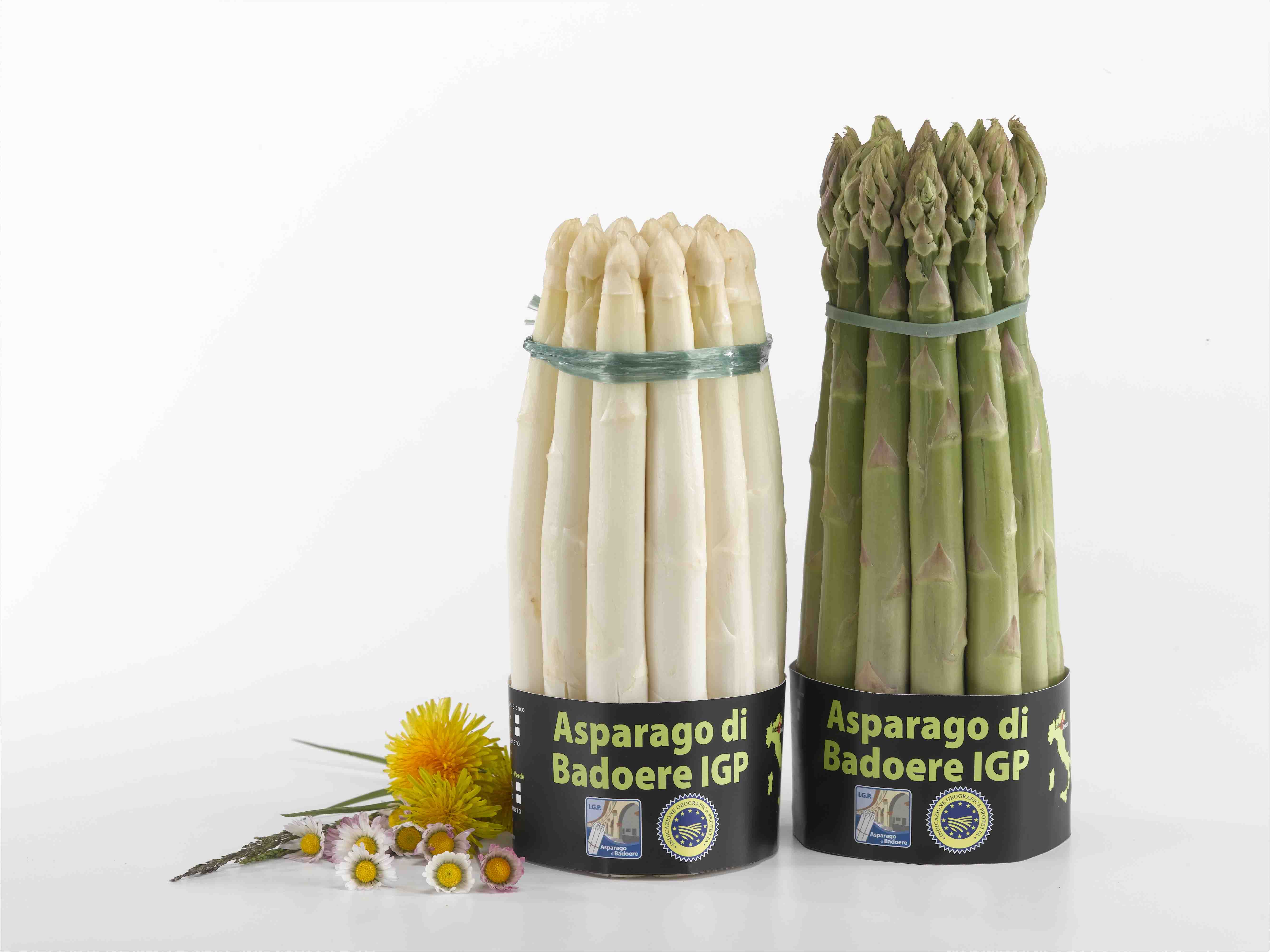 certificazioni I.G.P per l'asparago bianco e verde di Badoere