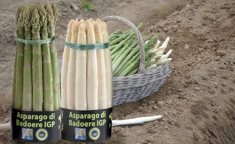 asparago verde e bianco di Badoere certificato I.G.P