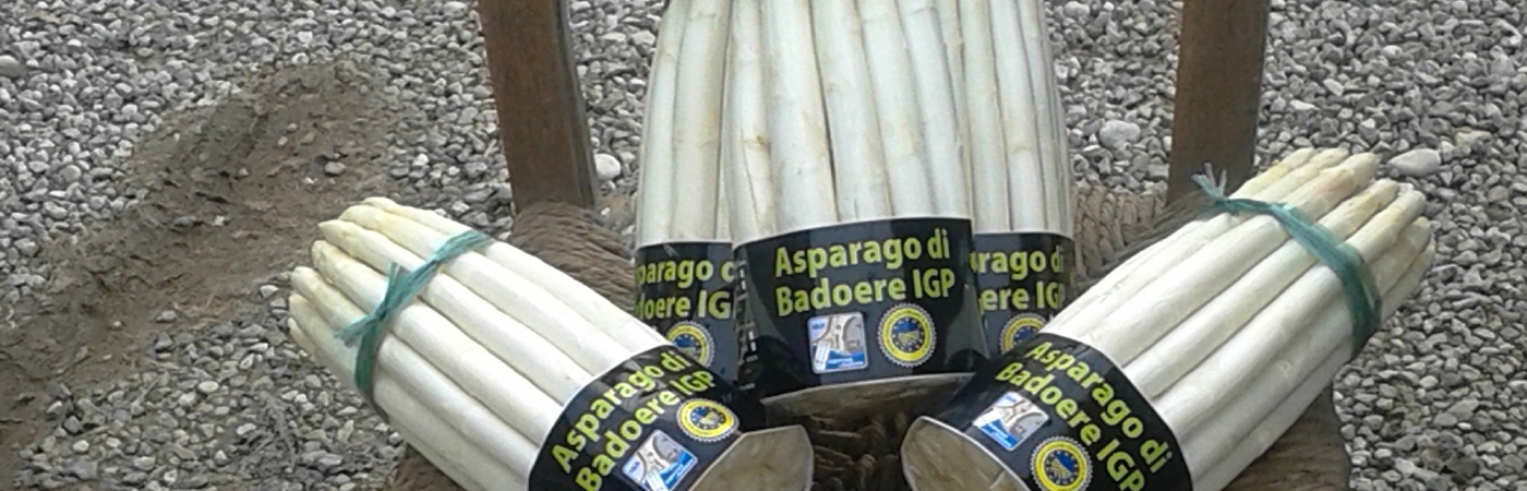 asparago bianco di Badoere I.G.P